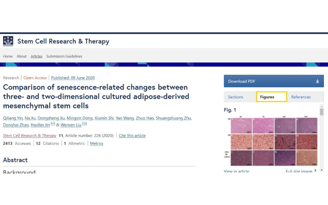 Comparison of senescence-related changes between three- and two-dimensional cultured adipose-derived mesenchymal stem cells