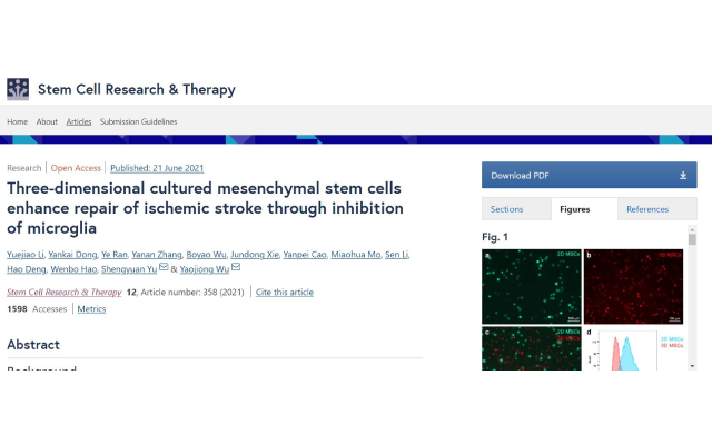 Three-dimensional cultured mesenchymal stem cells enhance repair of ischemic stroke through inhibition of microglia