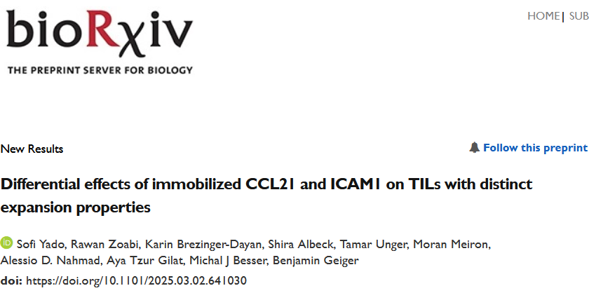 Differential effects of immobilized CCL21 and ICAM1 on TILs1 with distinct expansion properties