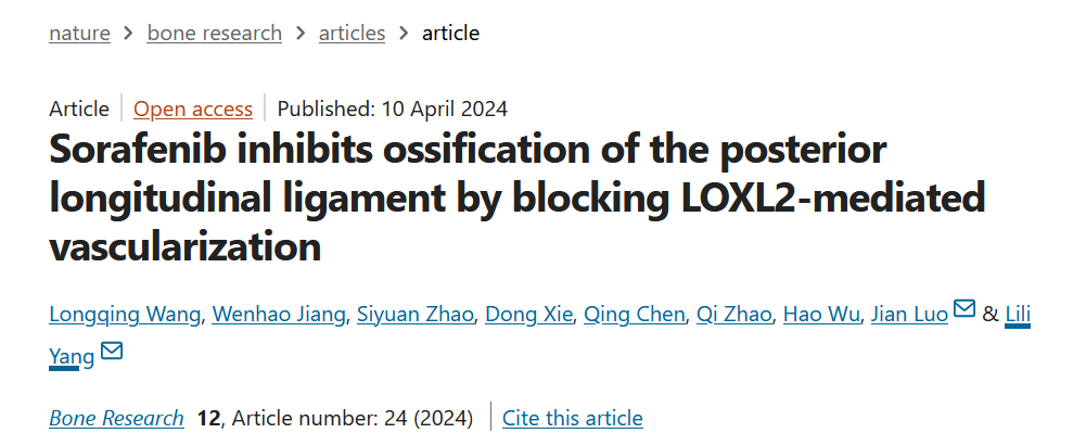 Sorafenib inhibits ossification of the posterior longitudinal ligament by blocking LOXL2-mediated vascularization
