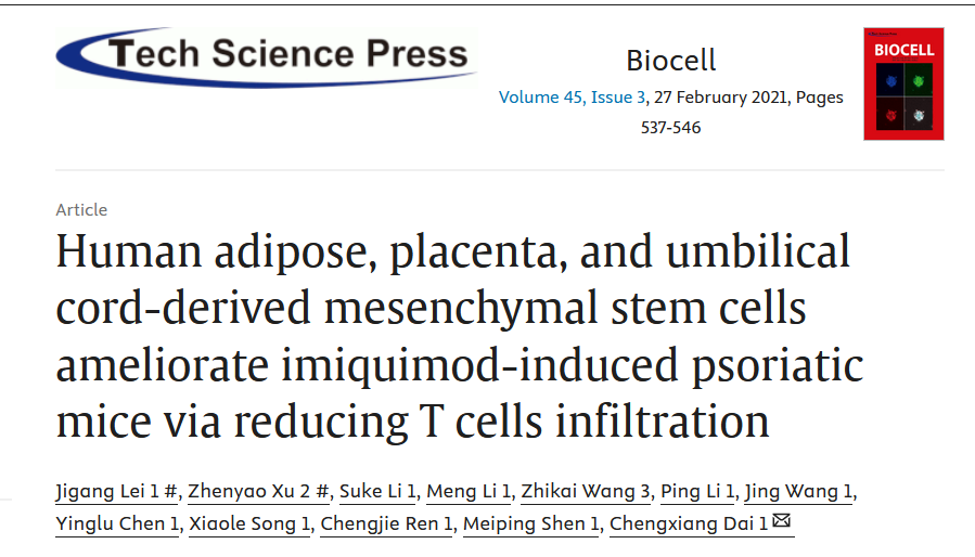 Human Adipose, Placenta, and Umbilical Cord-Derived Mesenchymal Stem Cells Ameliorate Imiquimod-Induced Psoriatic Mice via Reducing T Cells Infiltration