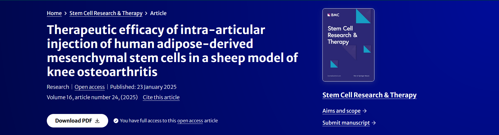 Therapeutic efficacy of intra-articular injection of human adipose-derived mesenchymal stem cells in a sheep model of knee osteoarthritis
