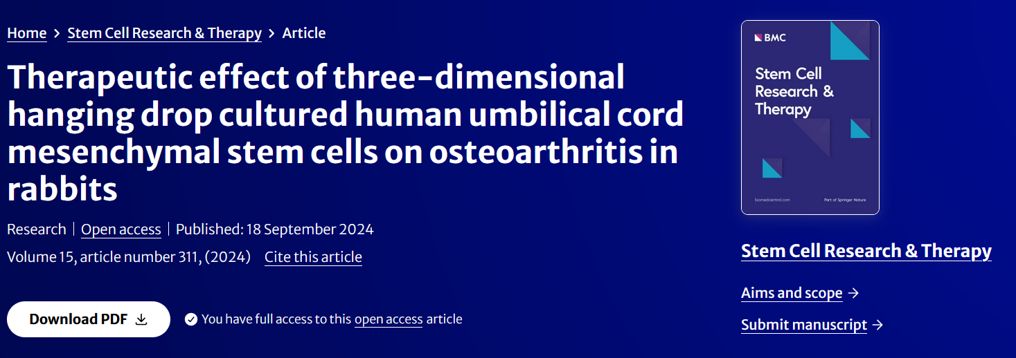 Therapeutic effect of three-dimensional hanging drop cultured human umbilical cord mesenchymal stem cells on osteoarthritis in rabbits