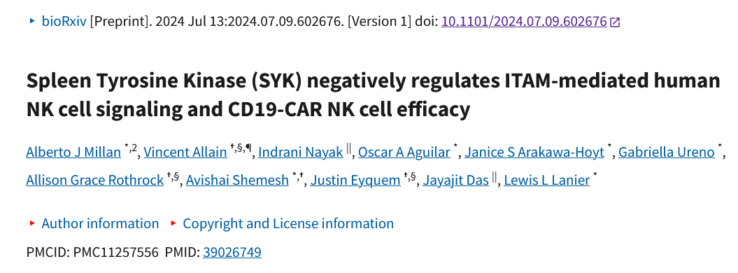 Spleen Tyrosine Kinase (SYK) negatively regulates ITAM-mediated human NK cell signaling and CD19-CAR NK cell efficacy