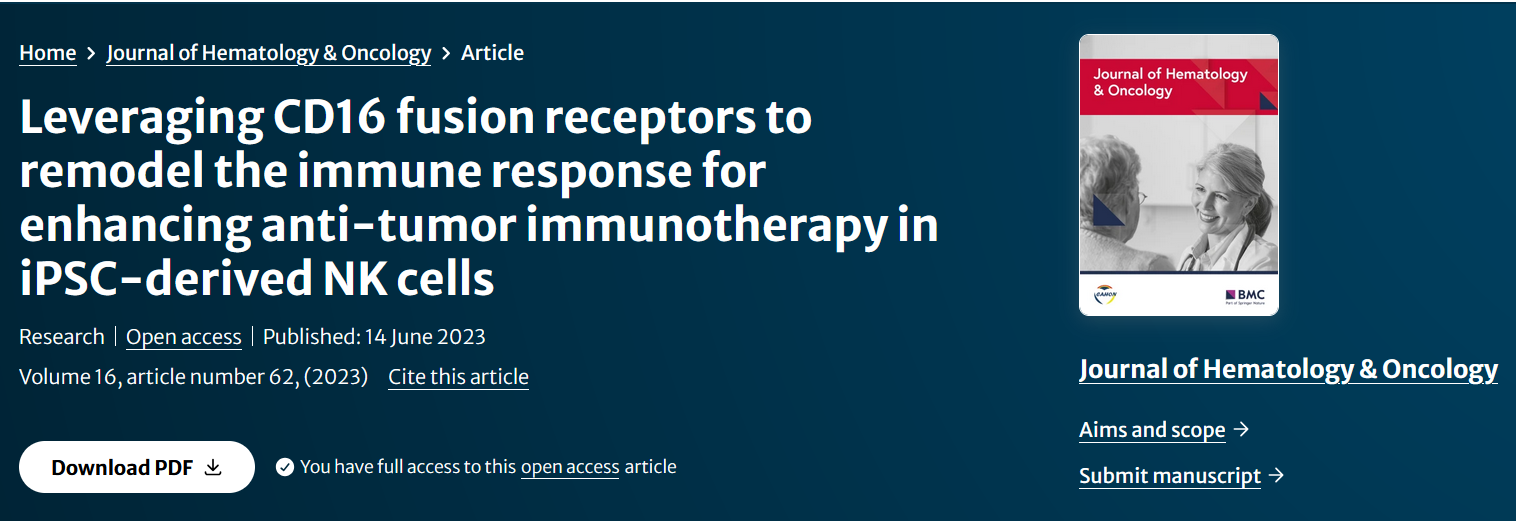 Leveraging CD16 fusion receptors to remodel the immune response for enhancing anti-tumor immunotherapy in iPSC-derived NK cells