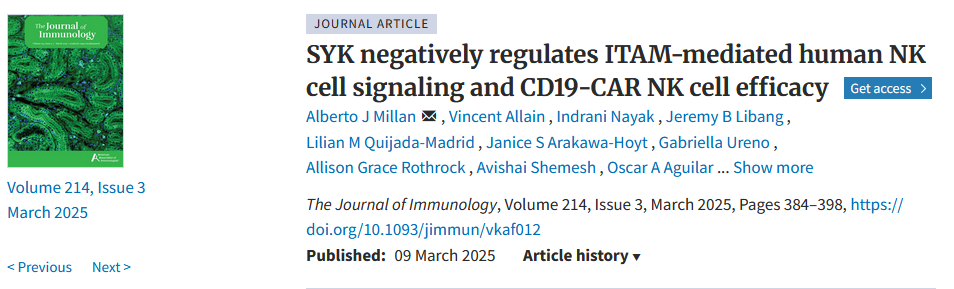 SYK negatively regulates ITAM-mediated human NK cell signaling and CD19-CAR NK cell efficacy
