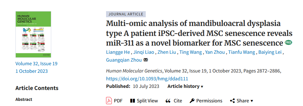 Multi-omic analysis of mandibuloacral dysplasia type A patient iPSC-derived MSC senescence reveals miR-311 as a novel biomarker for MSC senescence