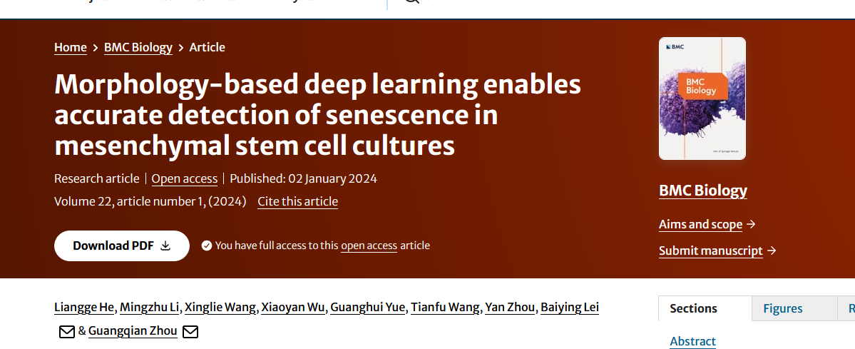 Morphology-based deep learning enables accurate detection of senescence in mesenchymal stem cell cultures