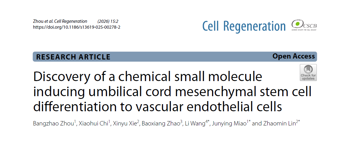 Discovery of a chemical small molecule inducing umbilical cord mesenchymal stem cell differentiation to vascular endothelial cells