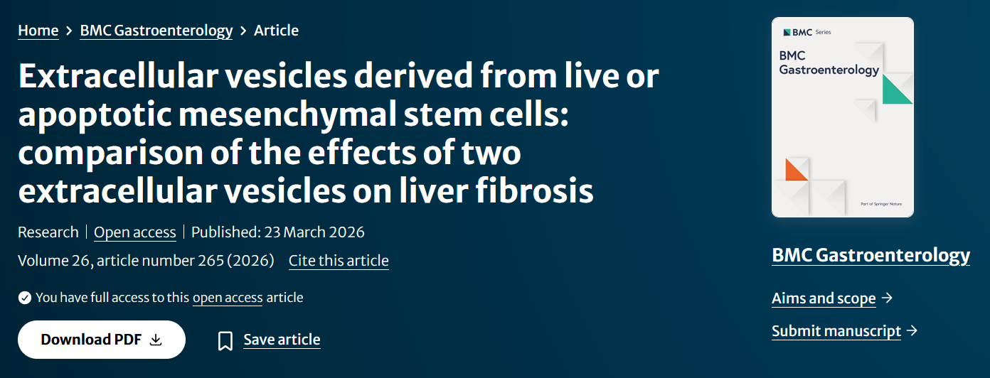 Extracellular vesicles derived from live or apoptotic mesenchymal stem cells comparison of the effects of two extracellular vesicles on liver fibrosis